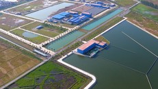 Hồ lắng nhà máy nước Sông Đuống. ảnh: Mạnh Thắng