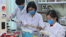 Nhóm nghiên cứu Viện Công nghệ sinh học chế tạo bộ sinh phẩm. Ảnh: V. Linh.