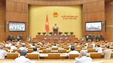 Quốc hội họp toàn thể trực tuyến