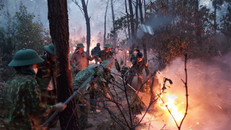 Các cán bộ, chiến sĩ tham gia chữa cháy rừng