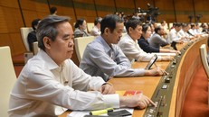 Các đại biểu Quốc hội ấn nút biểu quyết thông qua Nghị quyết (Ảnh: Cổng thông tin điện tử Quốc hội)
