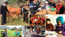 Việt Nam đã đạt được những thành tựu lớn về xóa đói, giảm nghèo được cộng đồng quốc tế ghi nhận và đánh giá cao