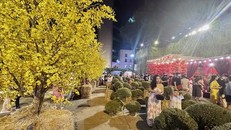 Người dân Thành phố Hồ Chí Minh náo nức chụp ảnh lưu niệm bên tiểu cảnh mùa Xuân tại Lễ hội Tết Việt lần 3 năm 2022. (Ảnh: Mỹ Phương/TTXVN)