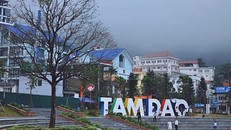 Tam Đảo (Vĩnh Phúc) được công nhận là Khu du lịch quốc gia