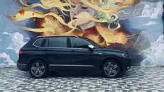 Bạn đồng hành của tôi