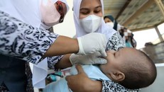 Đã ghi nhận hơn 300 ca viêm gan cấp tính không rõ nguyên nhân ở trẻ em tại 20 quốc gia