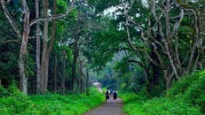 Tái thả số lượng lớn động vật hoang dã vào rừng nguyên sinh Cúc Phương