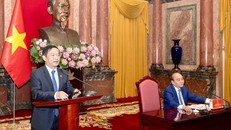 Chủ tịch HĐQT Lê Viết Hải tại buổi tiếp kiến Chủ tịch nước Nguyễn Xuân Phúc