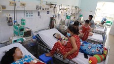TP Hồ Chí Minh: Sốt xuất huyết tiếp tục tăng về số ca mắc lẫn tử vong