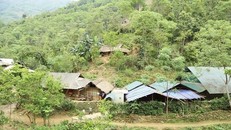 Bắt tạm giam một cán bộ xã ở Thanh Hóa ăn chặn tiền hỗ trợ hộ nghèo