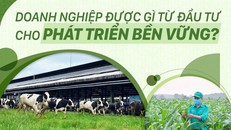 Doanh nghiệp được gì từ đầu tư cho phát triển bền vững?