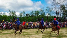 Đầu năm hào hứng đua ngựa tại Gò Thì Thùng ở Phú Yên