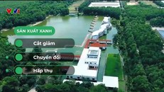 3 từ khóa hướng đến Sản xuất xanh là Cắt giảm – Chuyển đổi – Hấp thụ (Nguồn: VTV Tạp chí Kinh tế Đặc biệt Net Zero)