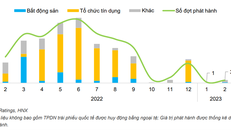Tình hình phát hành trái phiếu doanh nghiệp trong nước