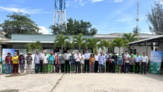 Mưa vàng “giải cứu” vùng hạn mặn miền Tây