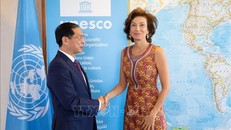 Tổng Giám đốc UNESCO Audrey Azoulay đón tiếp Bộ trưởng Ngoại giao Bùi Thanh Sơn, ngày 5/6 tại trụ sở UNESCO ở thủ đô Paris. 