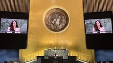 Tham tán Công sứ Lê Thị Minh Thoa, Phó Trưởng Phái đoàn đại diện thường trực Việt Nam tại Liên hợp quốc. (Ảnh: Thanh Tuấn/TTXVN)