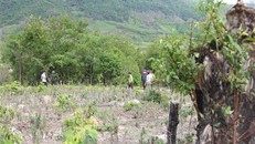 Hòa Bình: 49 hộ dân xã vùng cao mỏi mòn chờ cấp Giấy chứng nhận quyền sử dụng đất lâm nghiệp