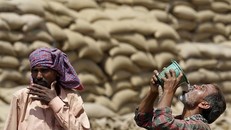 Người dân khắp thế giới chật vật ứng phó nắng nóng khắc nghiệt