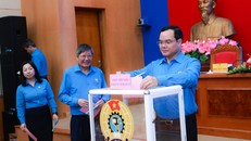 Phần bỏ phiếu kín giới thiệu tham gia quy hoạch Ủy viên Trung ương Đảng chính thức và dự khuyết