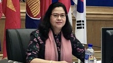 Phó Giáo sư-Tiến sỹ-Bác sỹ Trần Thị Giáng Hương. (Ảnh: TTXVN)