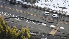 Chưa ghi nhận thông tin về thương vong của người Việt do động đất ở Nhật Bản