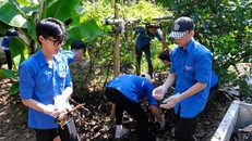 Đoàn viên, thanh niên huyện Đông Anh dọn dẹp vệ sinh môi trường ở thôn Lại Đà.