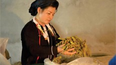 Lương y Dư Thị Ba, người phụ nữ dân tộc Sán Dìu, đã lặng lẽ cứu chữa cho hàng nghìn người mắc các bệnh lý gan nguy hiểm bằng chính bài thuốc gia truyền đời thứ ba của dòng họ.