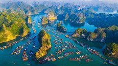 Thành lập Ban Quản lý Di sản thế giới Vịnh Hạ Long – Yên Tử