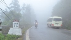 Sa Pa rét hại 8,4 độ C, dân sơ tán trâu bò tránh rét