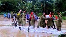 Lực lượng quân đội, công an khắc phục khẩn cấp bờ suối sạt lở do lũ lớn tràn về xã Hoài Sơn (huyện Hoài Nhơn). 