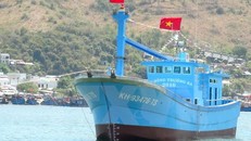 Ảnh chỉ có tính minh họa. (Ảnh: Nguyên Lý/TTXVN)