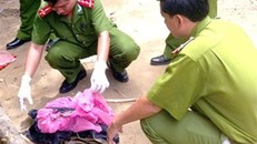 Ảnh hiện trường