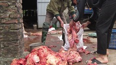 Mỡ động vật bẩn bị phát hiện ở Hà Nội.