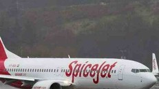 Máy bay của Hãng hàng không giá rẻ Spice Jet. (Nguồn: timesnow.tv)