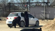 Con gấu đen cố gắng thò móng vuốt qua khe cửa kính ôtô. Ảnh: Shanghaiist.