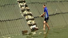 Ước tính 6 tấn cá ở các ao nuôi của các hộ dân bị chết. Ảnh: Thanh Tuấn