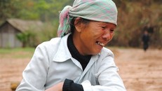 Người dân xót xa, không cầm được nước mắt bên đống dứa thối.