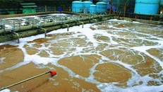 Hơn 5.000 cơ sở y tế xả nước thải chưa qua xử lý vào môi trường