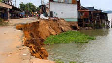 Xin Chính phủ 123 tỉ đồng khắc phục sạt lở sông Vàm Nao