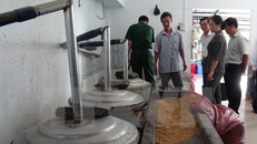 Ảnh chỉ có tính minh họa. (Ảnh: Thanh Hòa/TTXVN)