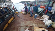 Tàu cá vỏ thép của ngư dân Bình Định hư hỏng nằm bờ.