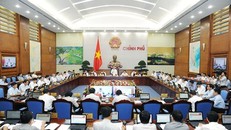 Thủ tướng Nguyễn Xuân Phúc đã yêu cầu lãnh đạo Bộ Y tế báo cáo về kết quả giám sát hải sản tầng đáy