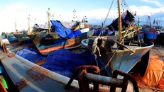  Tàu thép gỉ sắt nghiêm trọng trong thời gian gian chờ sửa chữa ở cảng Tam Quan. Ảnh: Minh Hoàng.