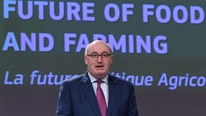 Cao ủy phụ trách nông nghiệp Châu Âu Phil Hogan. Ảnh: Getty.