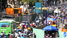 Cây xanh trên đường vào sân bay Tân Sơn Nhất được đốn hạ, di dời. Ảnh: Quỳnh Trần.