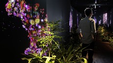 Kameyama chưa bao giờ lộ mặt trước truyền thông. Ảnh: Bloomberg