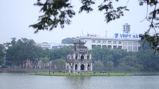 Hà Nội: Thí điểm thả thiên nga xuống Hồ Gươm?
