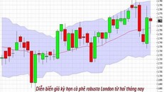 Giá cà phê chao đảo thất thường mấy ngày Tết