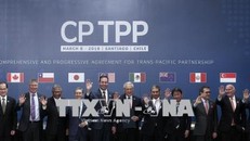 Đại diện các nước tham gia ký CPTTP. Ảnh TTXVN